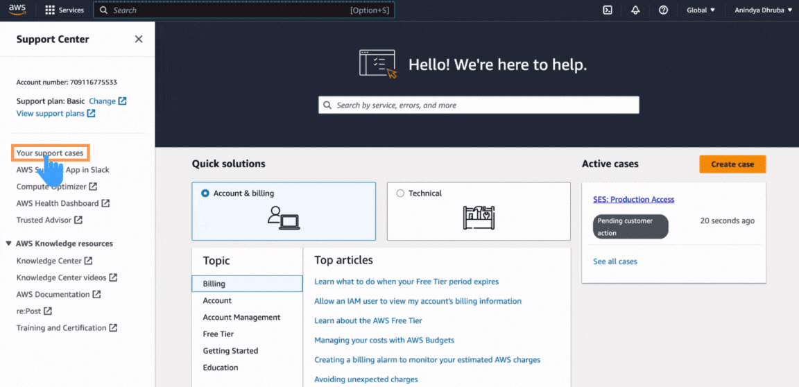 Click on the 'Your support case."