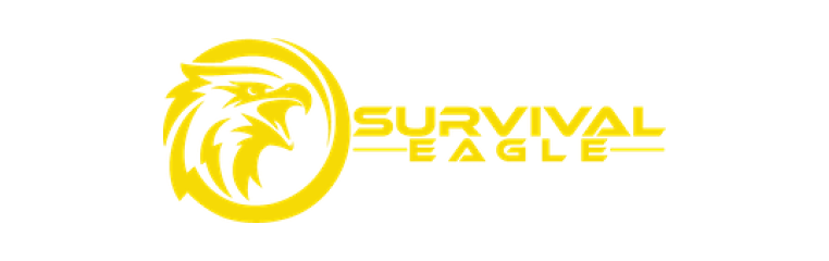 frame_39.png